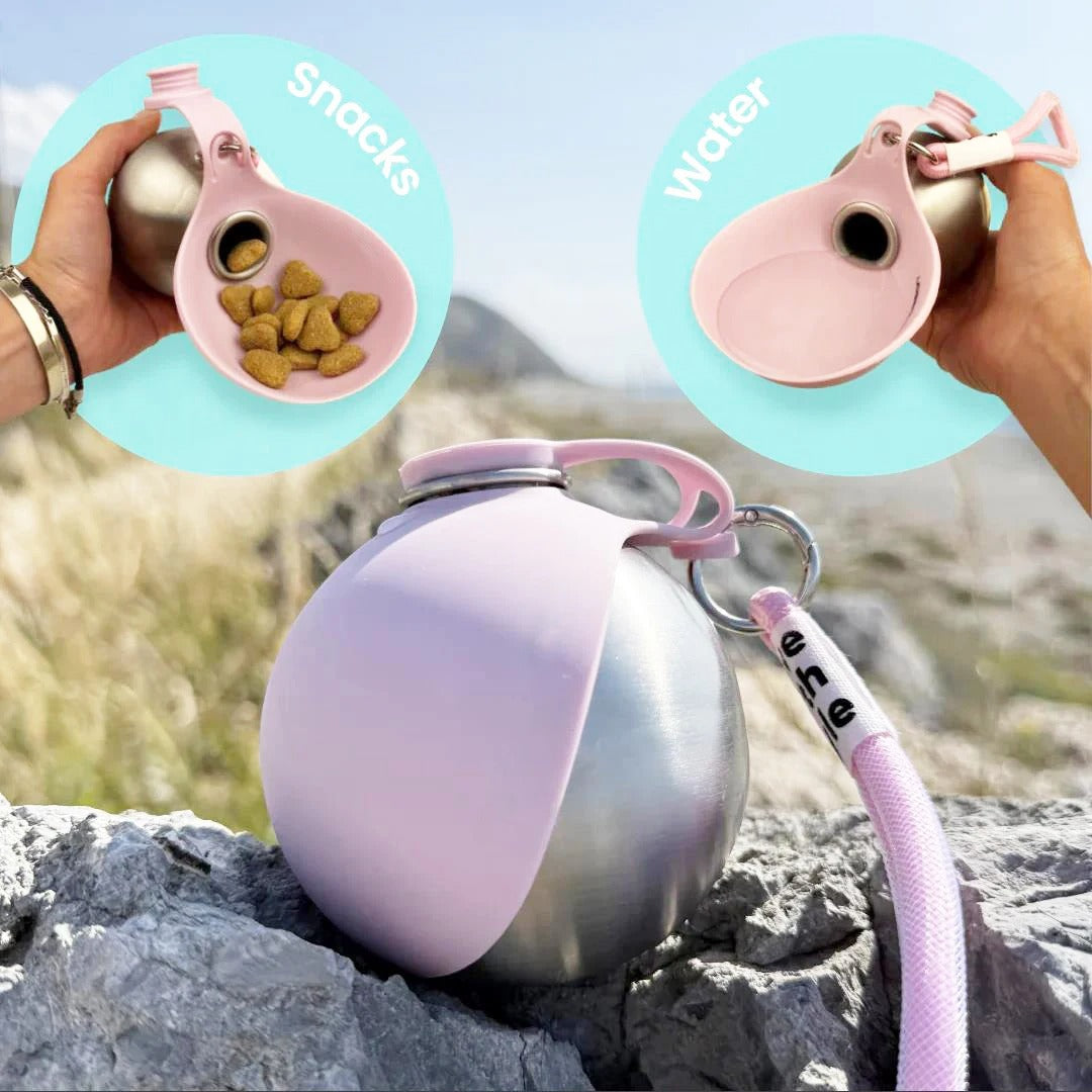 Portable Outdoor Pet Stainless